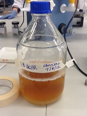 dissolve lb agar without autoclave|adding agar to autoclaving.